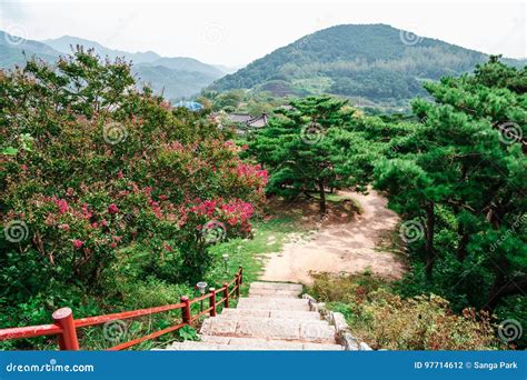 제천 포레스트 리솜: 자연과 인간의 공존을 위한 새로운 가능성